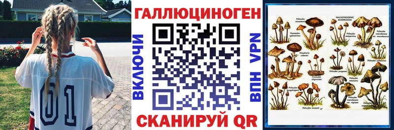 как найти наркотики Пошехонье Псилоцибиновые грибы мицелий
